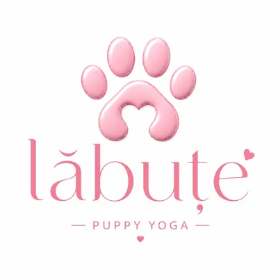 Lăbuțe — paw logo
