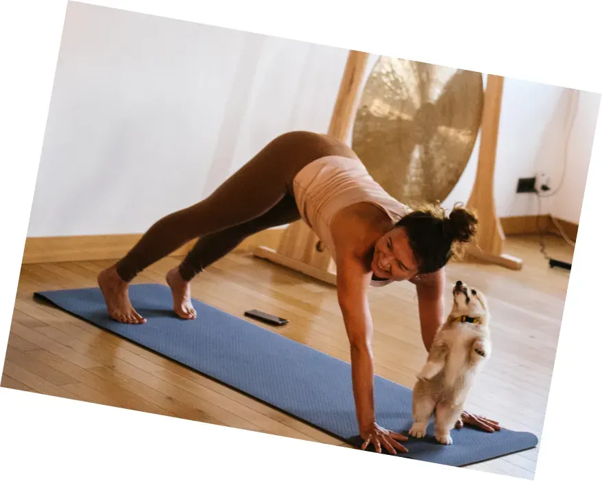 Yoga blândă alături de un cățeluș la LAPKI